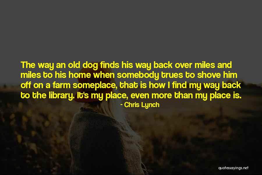 Chris Lynch Quotes 283684