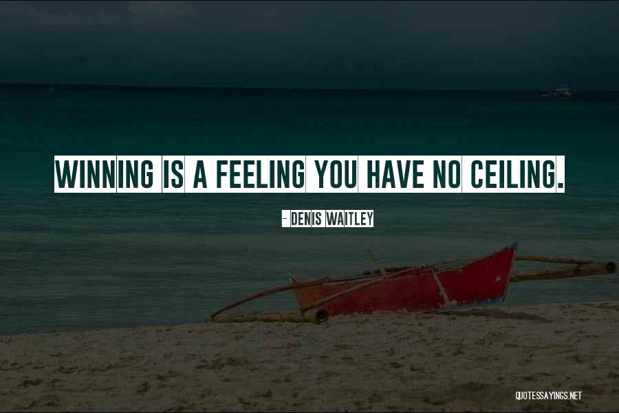Chris Mccandless Father Quotes By Denis Waitley Chris Mccandless Father Quotes By Denis Waitley