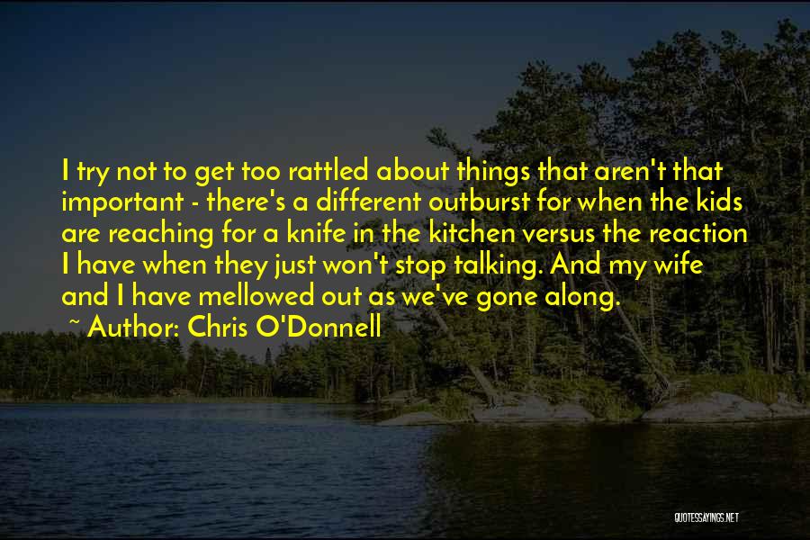 Chris O'brien Quotes By Chris O'Donnell