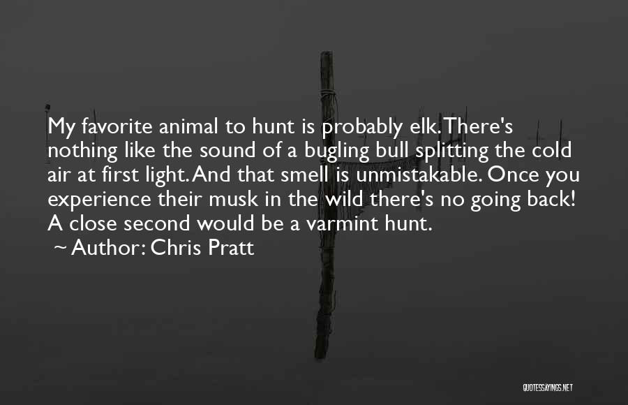 Chris Pratt Quotes 663328