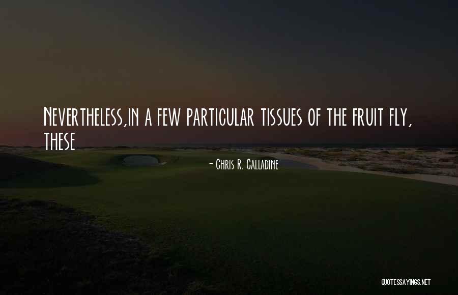 Chris R. Calladine Quotes 1839002 Chris R. Calladine Quotes 1839002