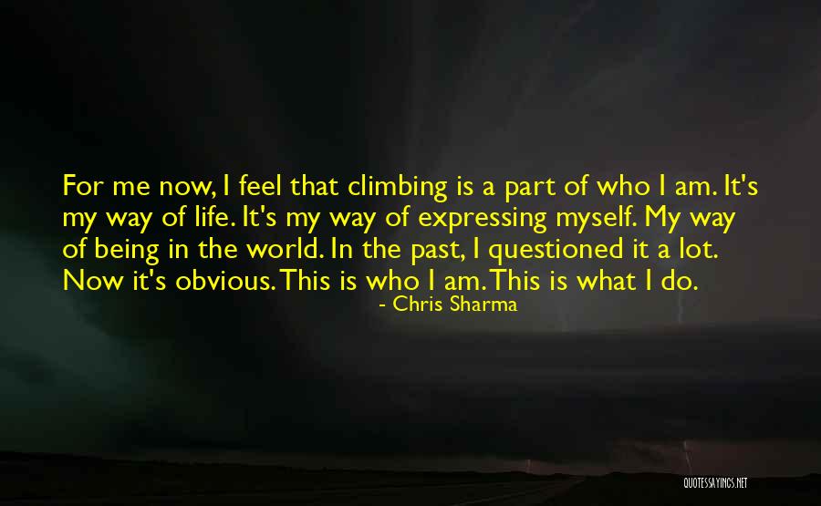 Chris Sharma Quotes 1221393