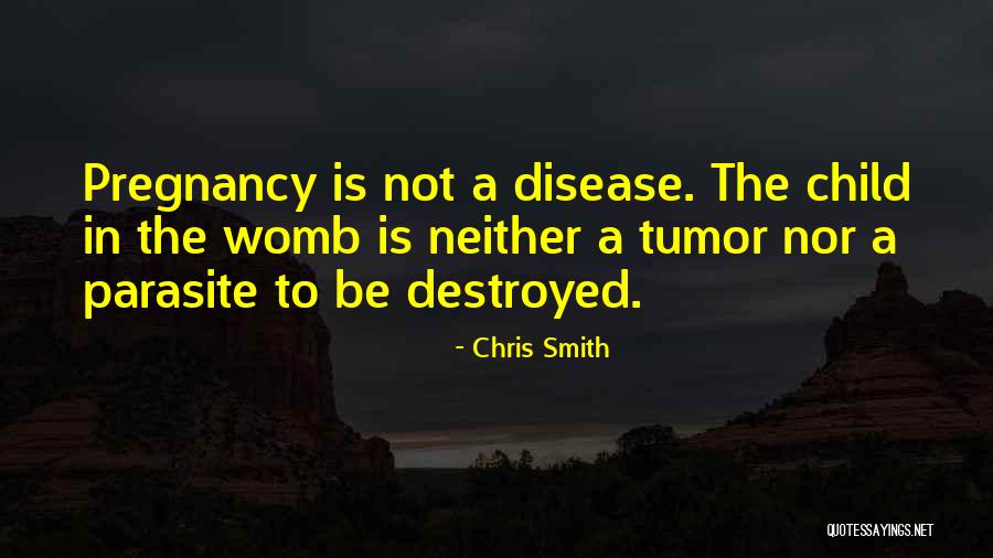 Chris Smith Quotes 527611 Chris Smith Quotes 527611