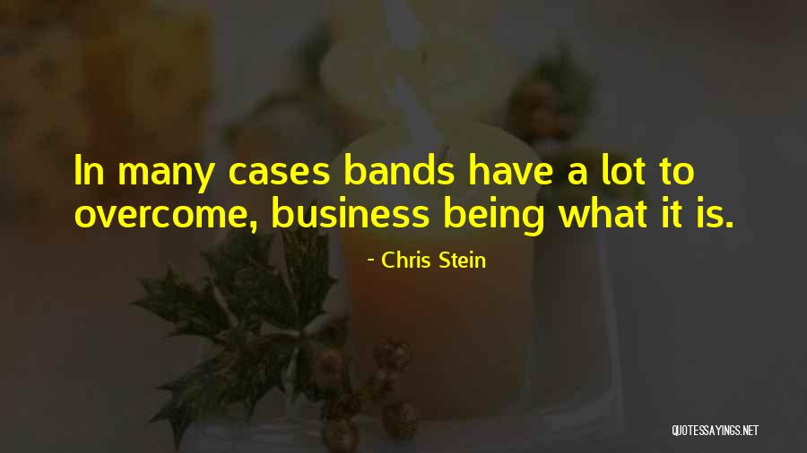 Chris Stein Quotes 1717400