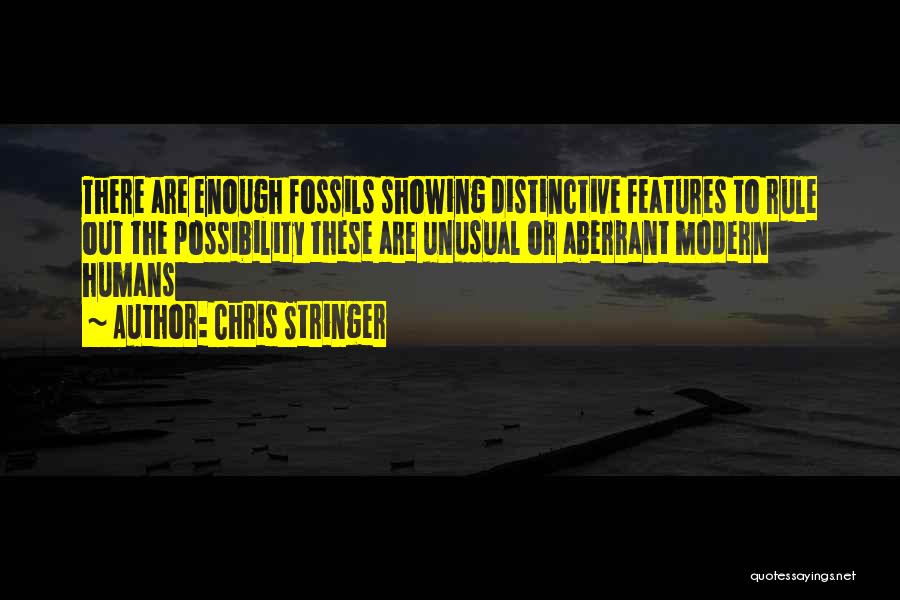 Chris Stringer Quotes 1640709