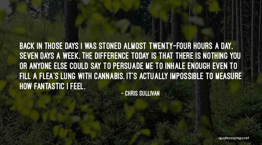 Chris Sullivan Quotes 120628