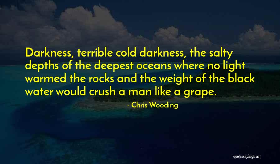 Chris Wooding Quotes 1822995