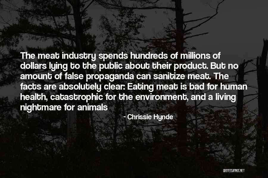 Chrissie Hynde Quotes 111700 Chrissie Hynde Quotes 111700