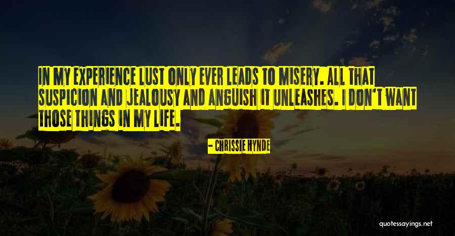 Chrissie Hynde Quotes 1413687 Chrissie Hynde Quotes 1413687