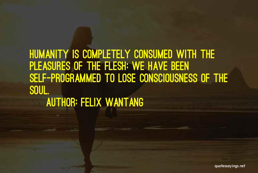 Christ Consciousness Quotes By Felix Wantang