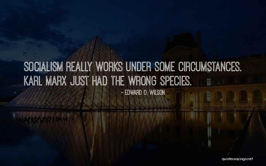 Christalyn Baker Quotes By Edward O. Wilson Christalyn Baker Quotes By Edward O. Wilson