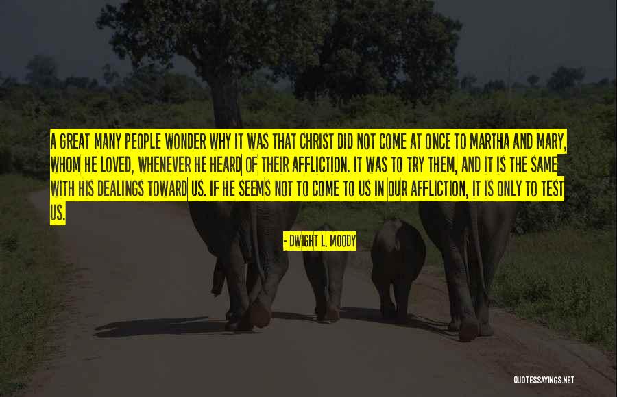 Christian Affliction Quotes By Dwight L. Moody