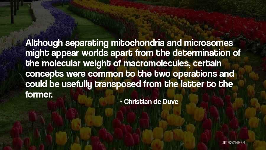 Christian De Duve Quotes 89905 Christian De Duve Quotes 89905