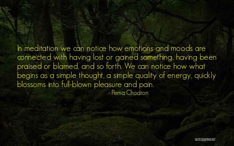 Christian Delacroix Quotes By Pema Chodron Christian Delacroix Quotes By Pema Chodron