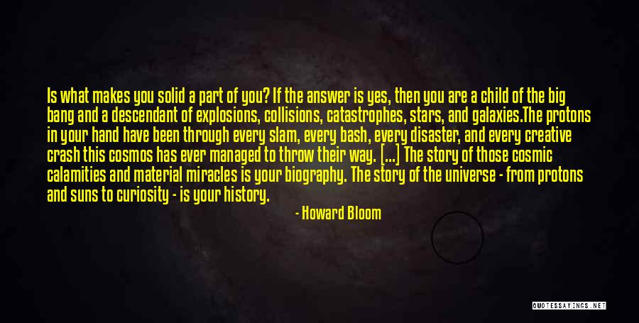 Christian Examination Quotes By Howard Bloom Christian Examination Quotes By Howard Bloom