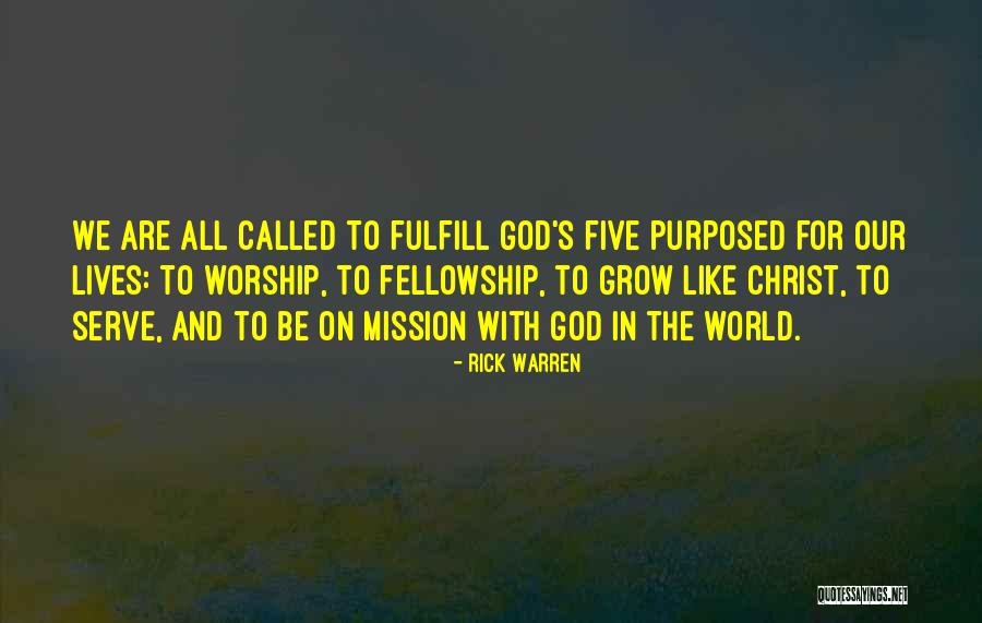 Christian Fellowship Quotes By Rick Warren