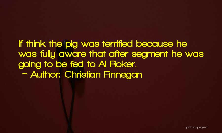 Christian Finnegan Quotes 1382612