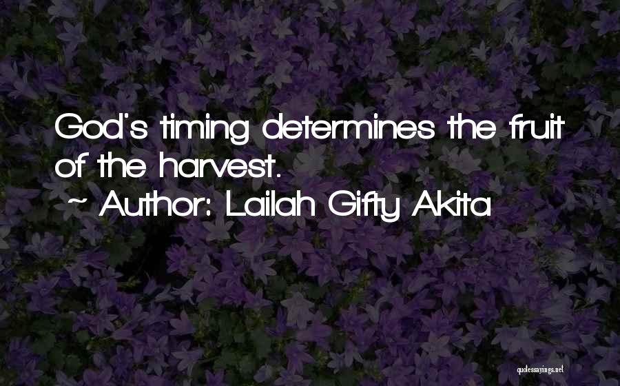 Christian Harvest Quotes By Lailah Gifty Akita