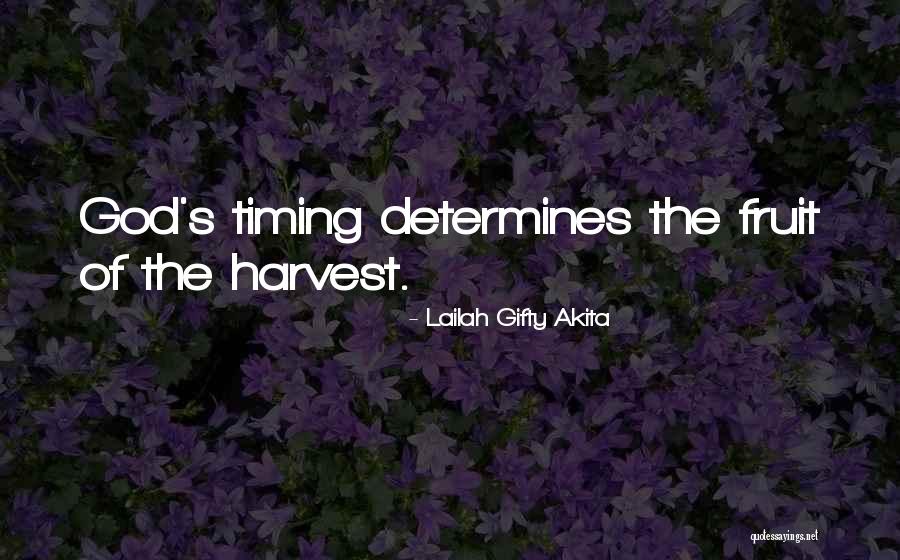 Christian Harvest Quotes By Lailah Gifty Akita