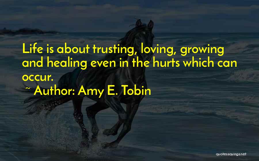 Christian Healing Quotes By Amy E. Tobin