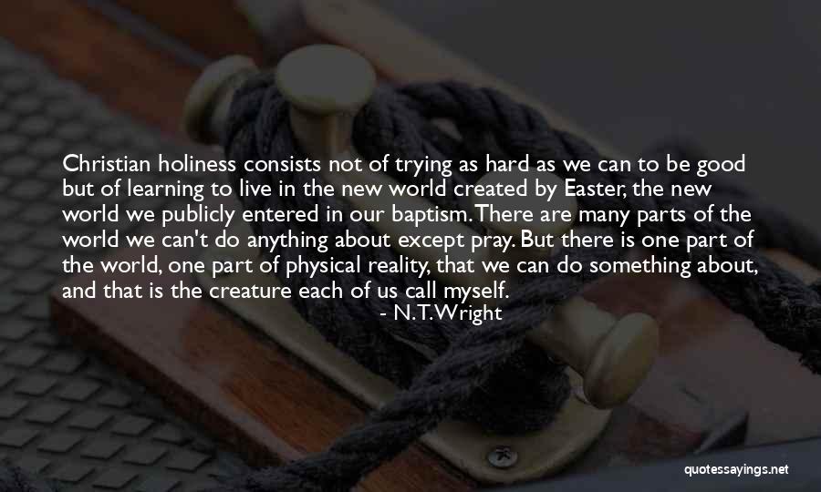 Christian Learning Quotes By N. T. Wright