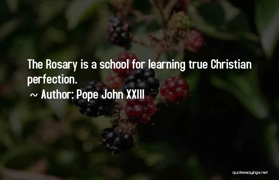Christian Learning Quotes By Pope John XXIII