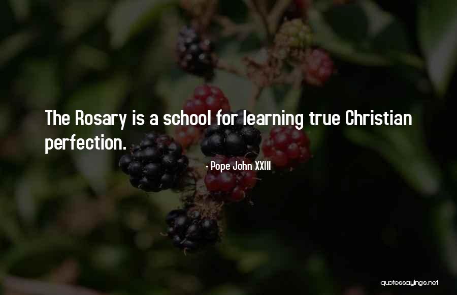 Christian Learning Quotes By Pope John XXIII