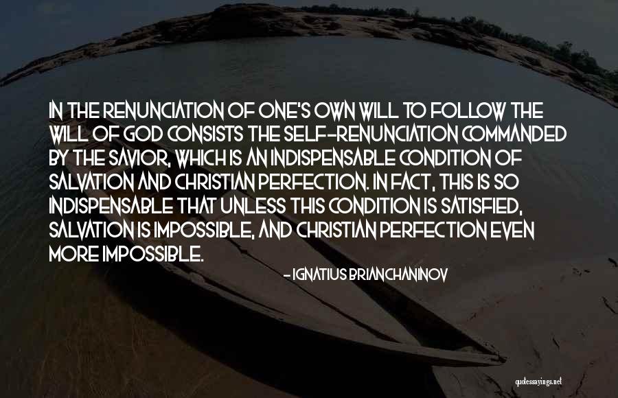 Christian Perfection Quotes By Ignatius Brianchaninov Christian Perfection Quotes By Ignatius Brianchaninov
