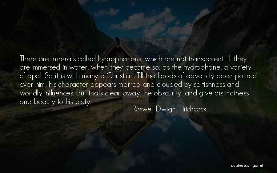 Christian Piety Quotes By Roswell Dwight Hitchcock