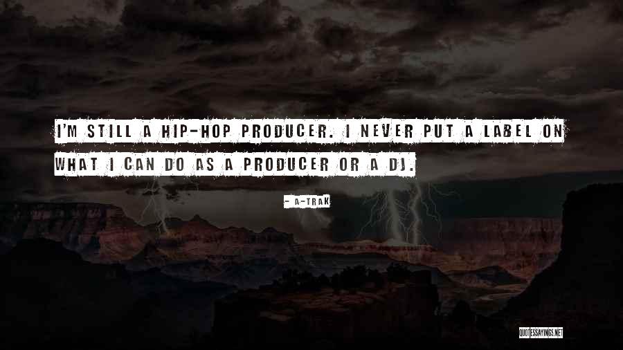Christian Sobriety Quotes By A-Trak Christian Sobriety Quotes By A-Trak