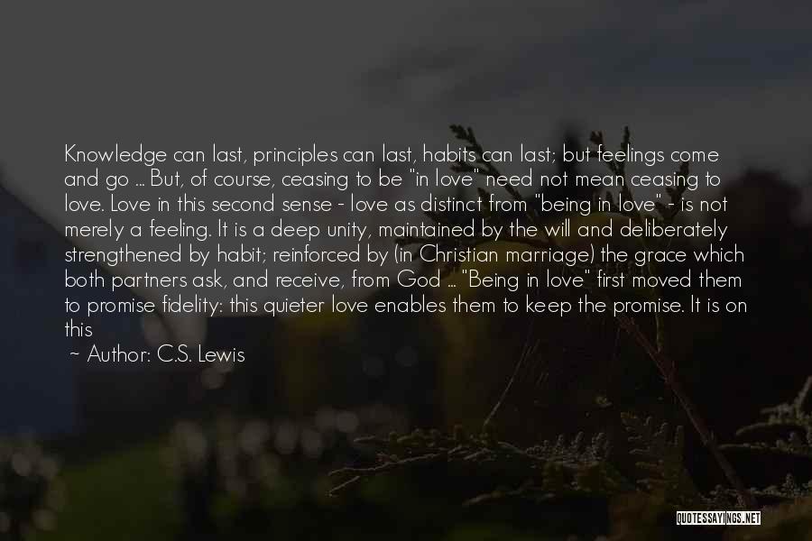 Christian Unity Quotes By C.S. Lewis