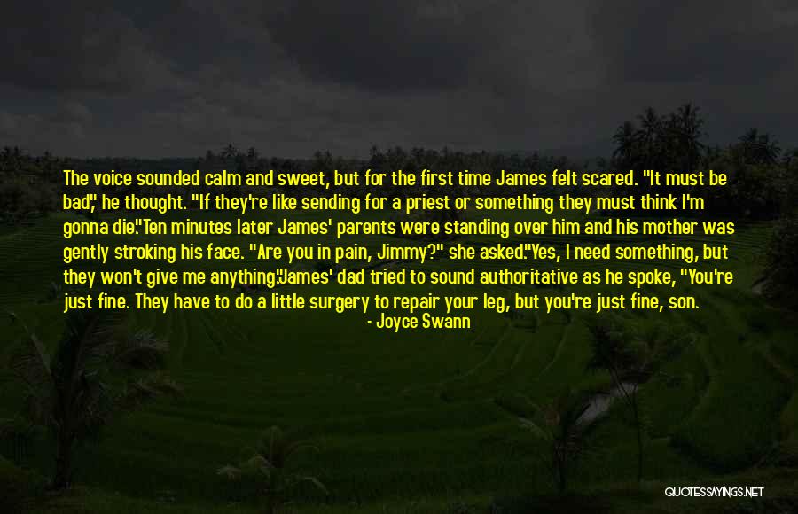 Christian Voice Quotes By Joyce Swann Christian Voice Quotes By Joyce Swann
