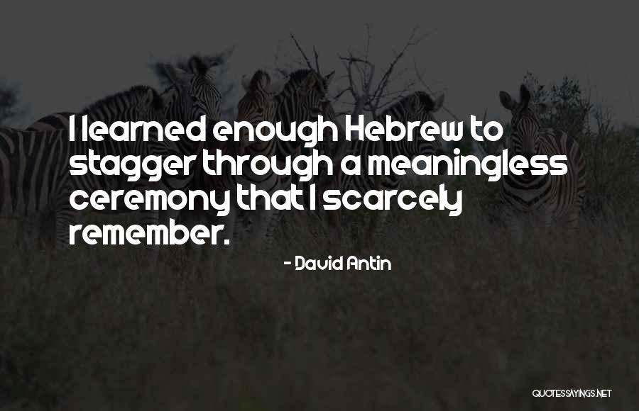 Christian Youths Quotes By David Antin Christian Youths Quotes By David Antin