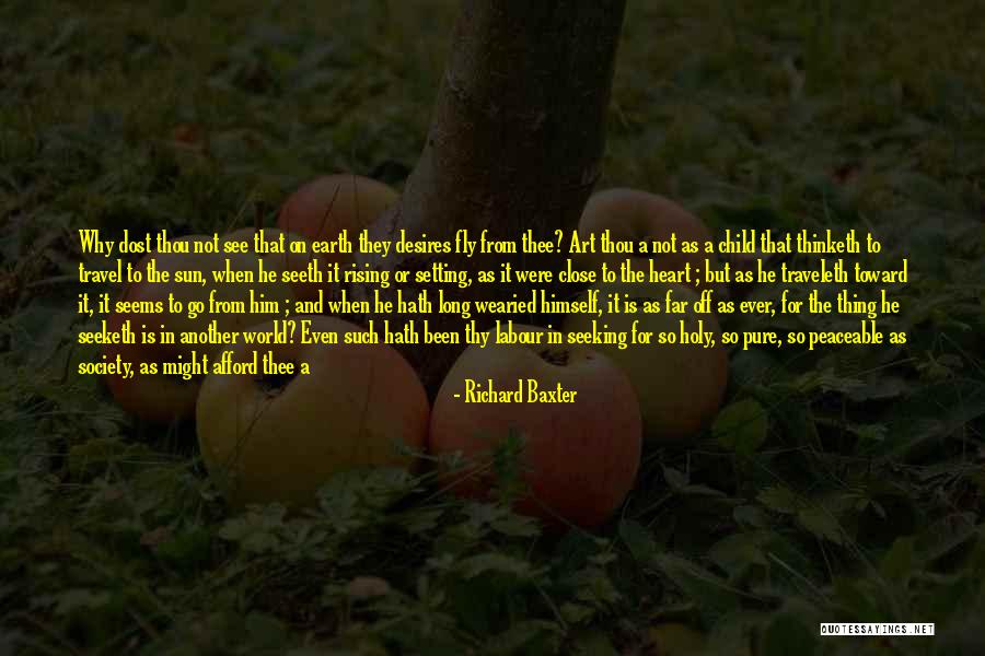 Christianity And America Quotes By Richard Baxter