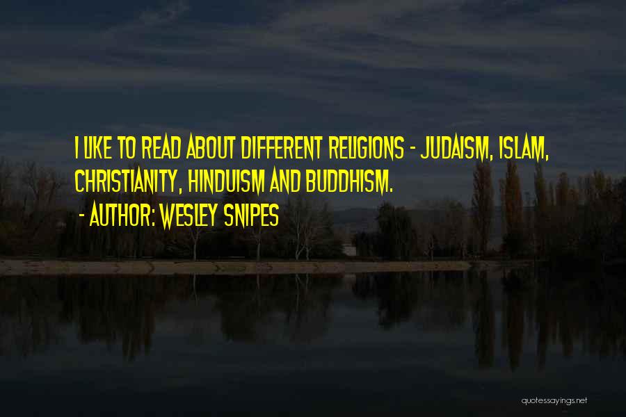 Christianity And Buddhism Quotes By Wesley Snipes