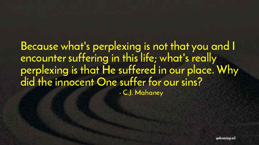 Christianity And Suffering Quotes By C.J. Mahaney