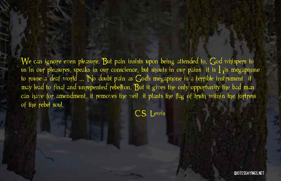 Christianity And Suffering Quotes By C.S. Lewis