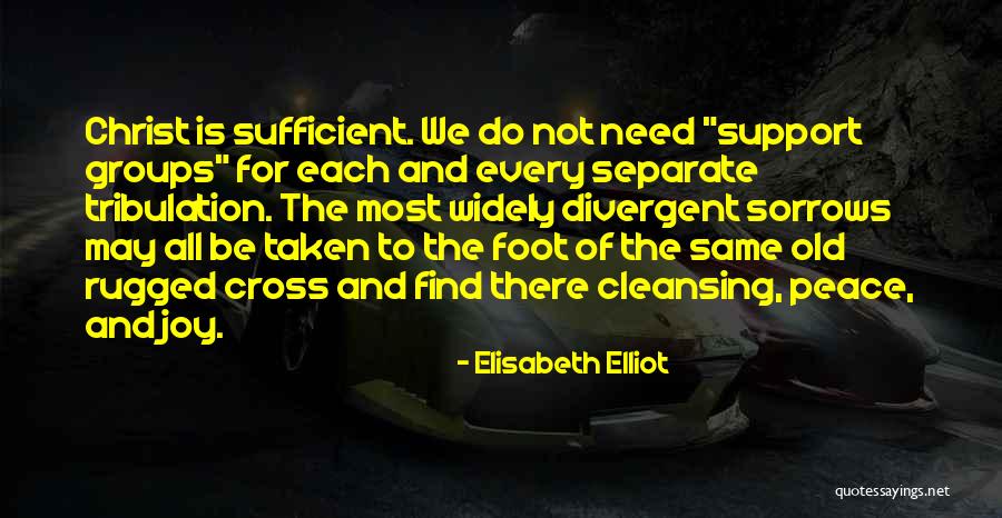 Christianity And Suffering Quotes By Elisabeth Elliot