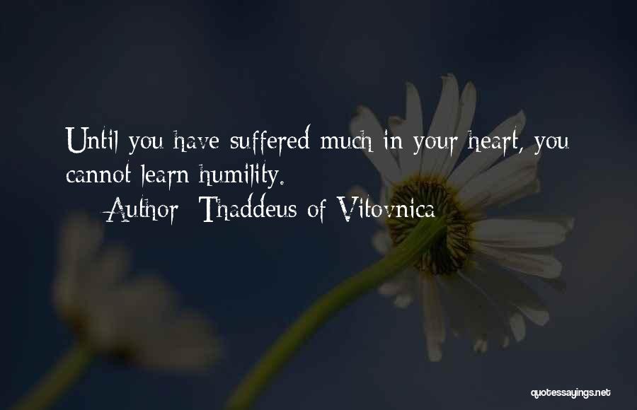 Christianity Suffering Quotes By Thaddeus Of Vitovnica