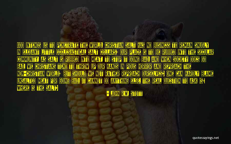 Christians To Blame Quotes By John R.W. Stott Christians To Blame Quotes By John R.W. Stott