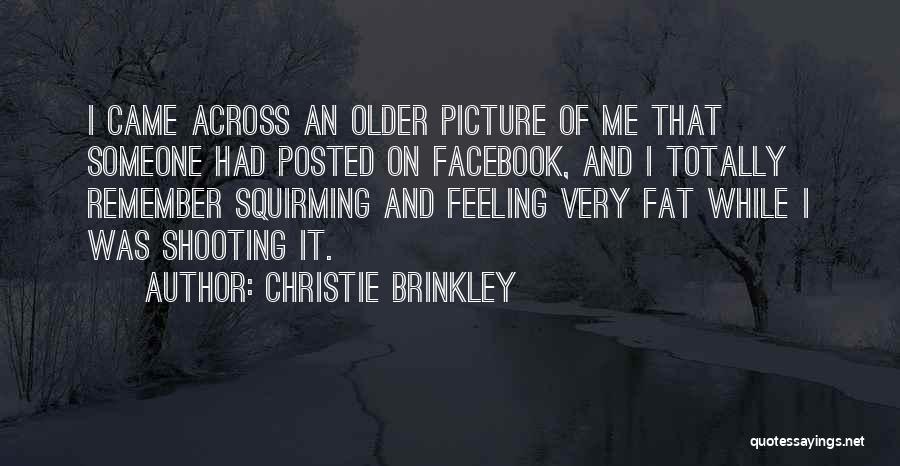 Christie Brinkley Quotes 1453478
