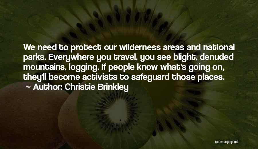 Christie Brinkley Quotes 1734072