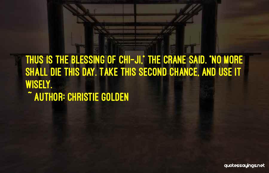 Christie Golden Quotes 2214210