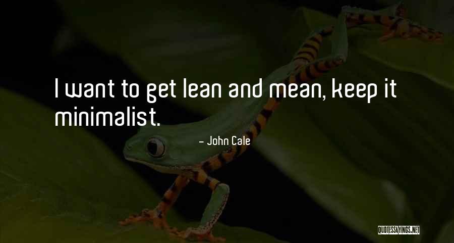 Christijan Alberss Age Quotes By John Cale Christijan Alberss Age Quotes By John Cale