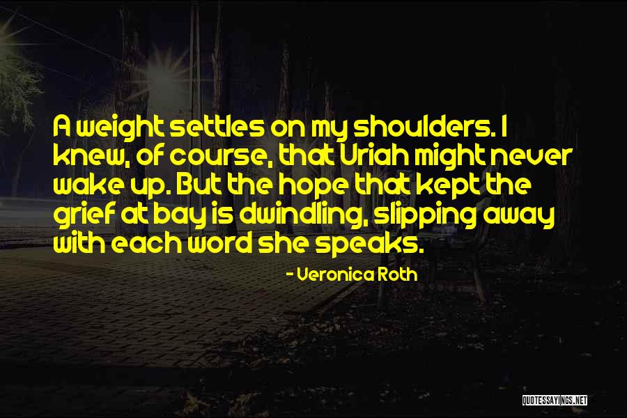 Christina And Tris Quotes By Veronica Roth Christina And Tris Quotes By Veronica Roth
