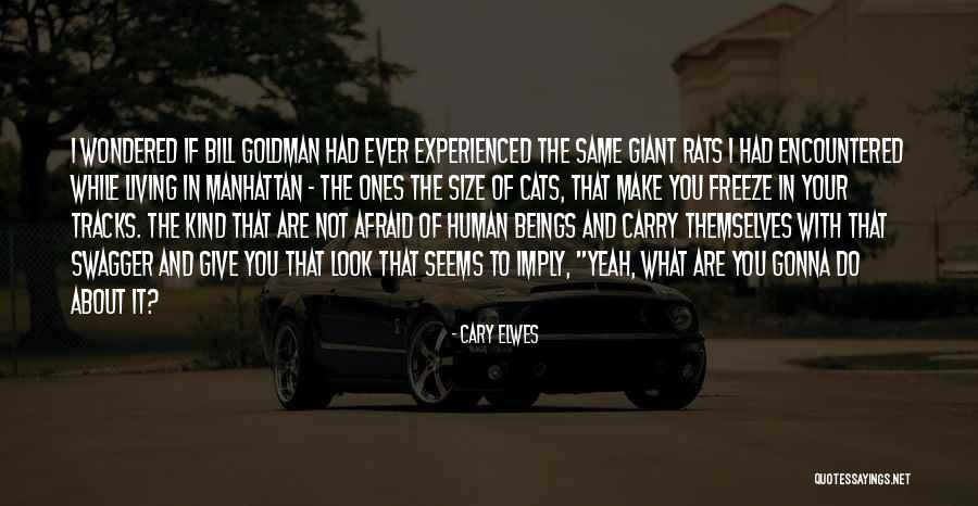 Christina Kay Quotes By Cary Elwes Christina Kay Quotes By Cary Elwes