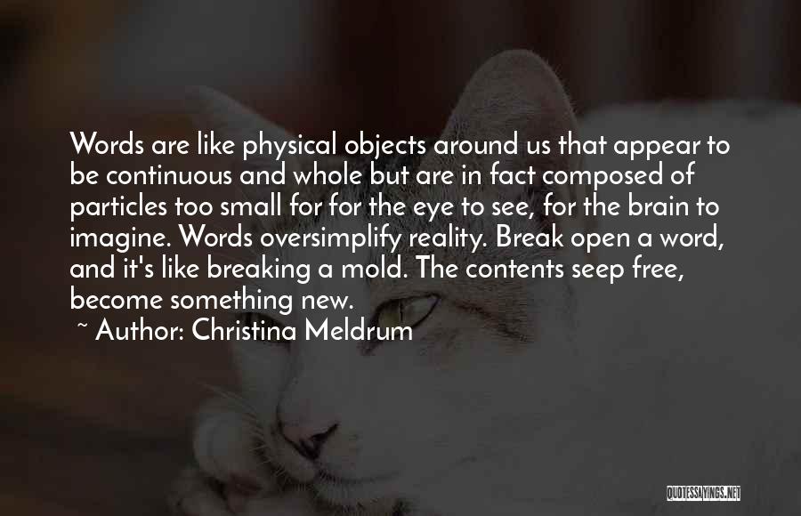 Christina Meldrum Quotes 1294539