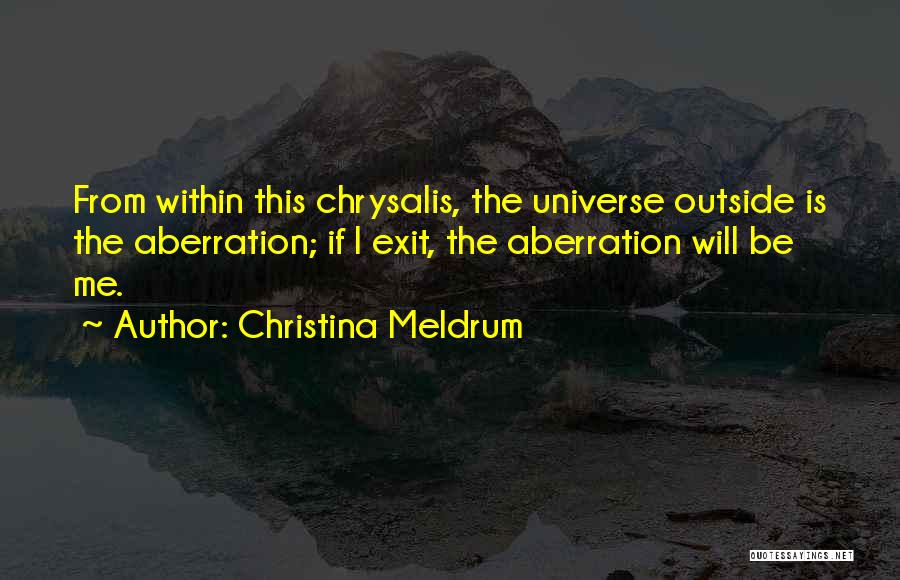 Christina Meldrum Quotes 1329510