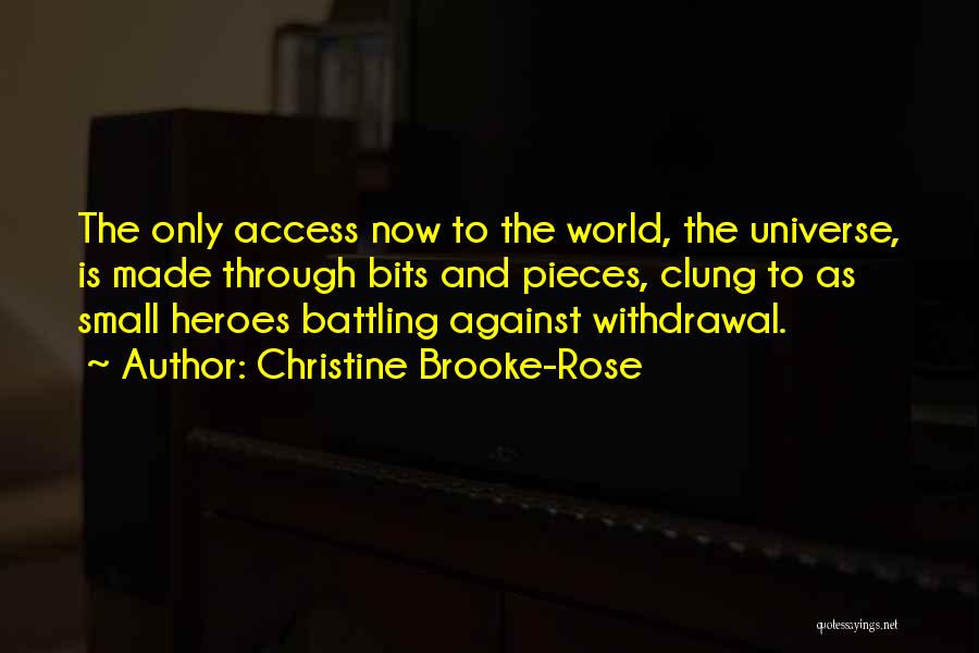 Christine Brooke-Rose Quotes 1968068
