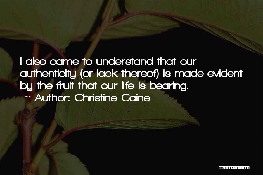 Christine Caine Quotes 1564089